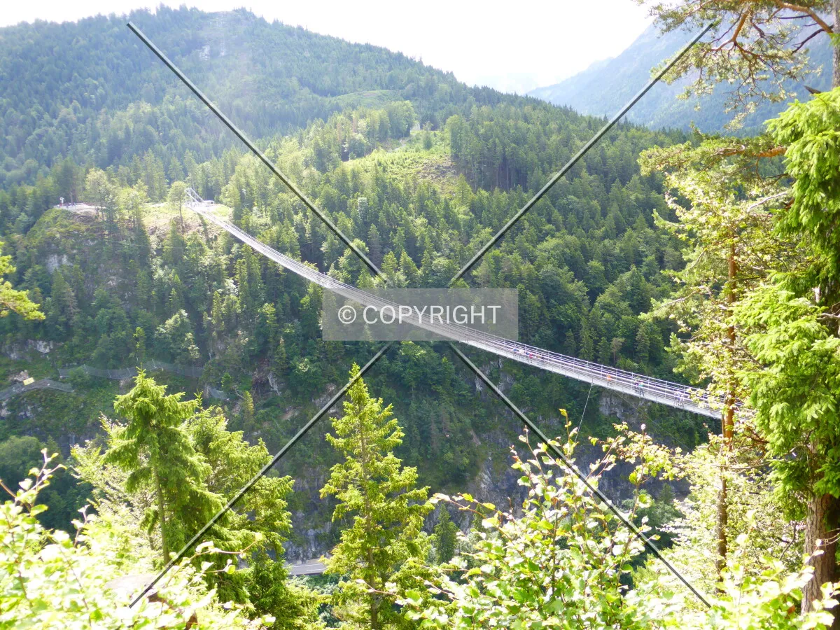 Photo 461-746-535