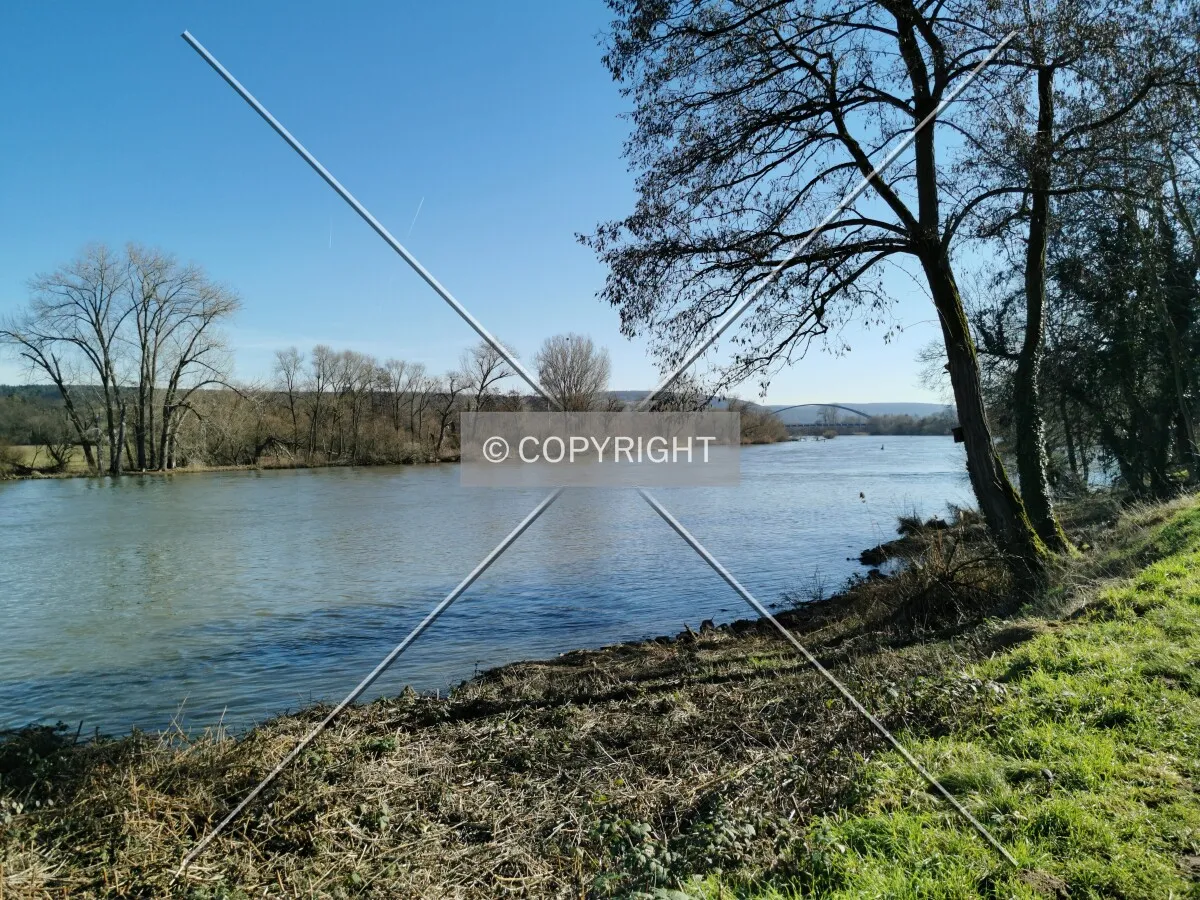 Photo 462-055-442