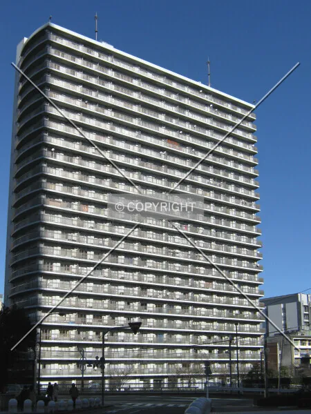 Photo 462-069-233