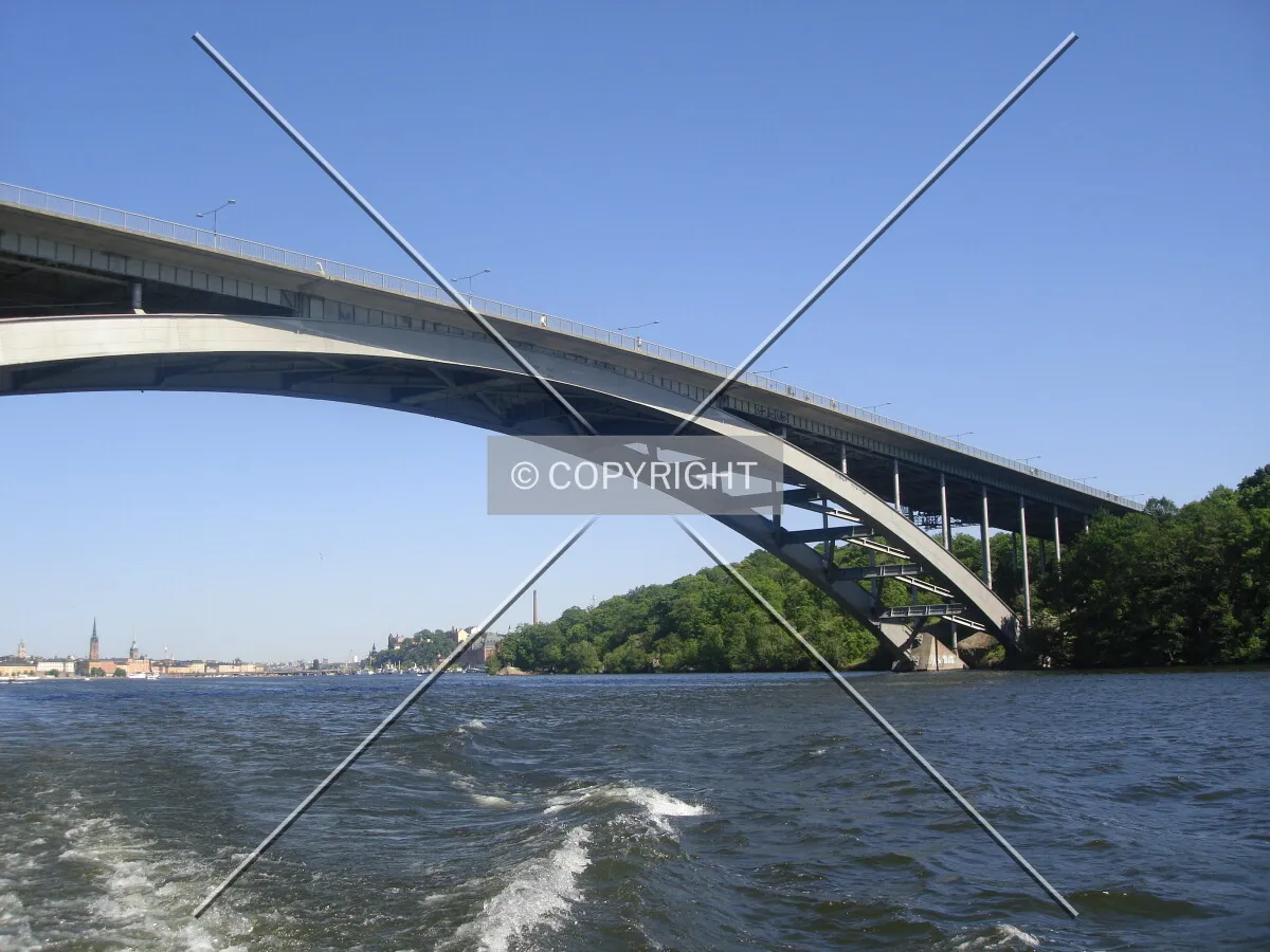 Photo 462-389-834
