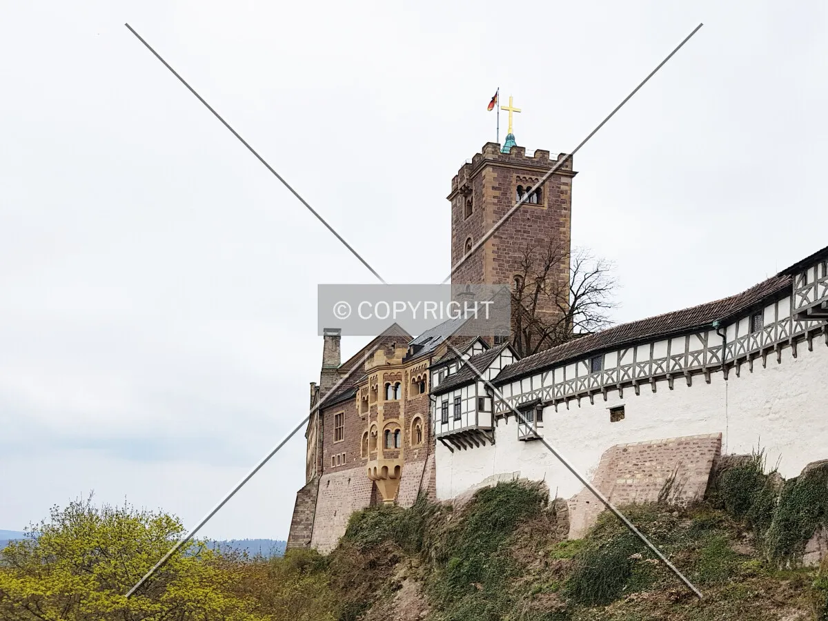 Photo 462-438-867