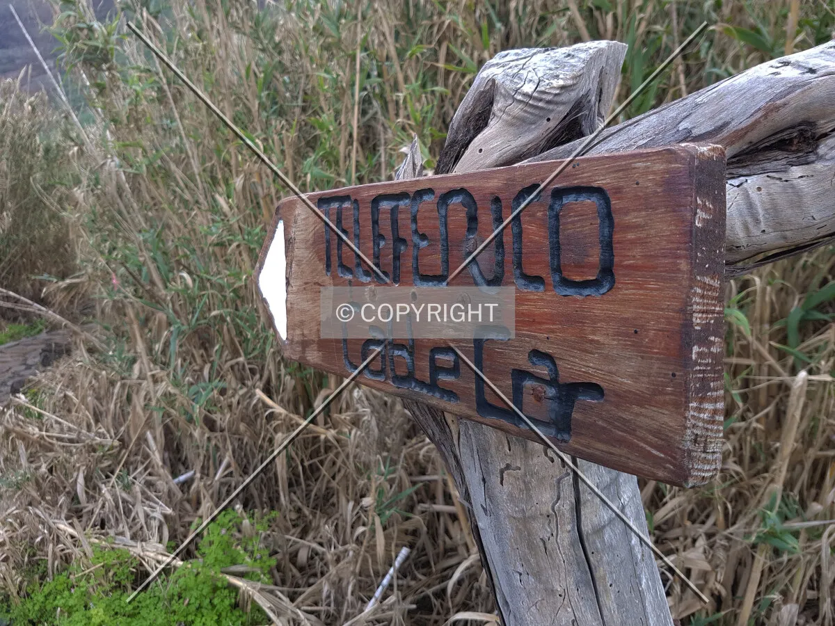 Photo 462-718-720