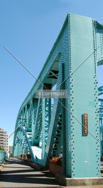 Photo 462-801-239
