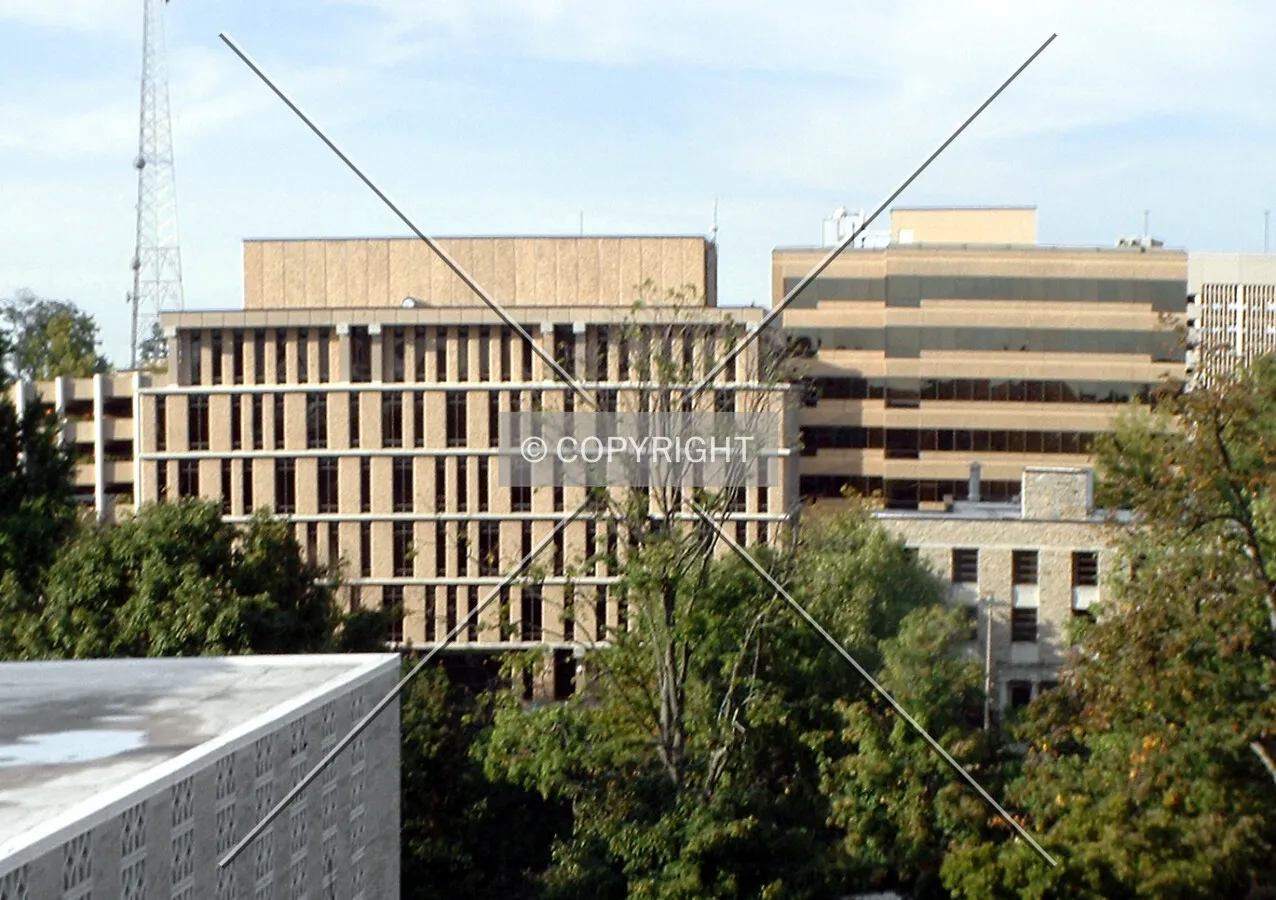 View from the south