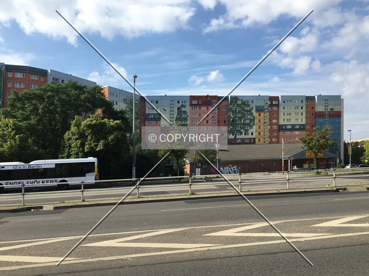 Photo 463-256-812
