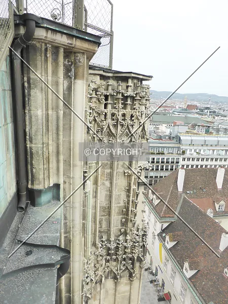 Photo 463-463-713