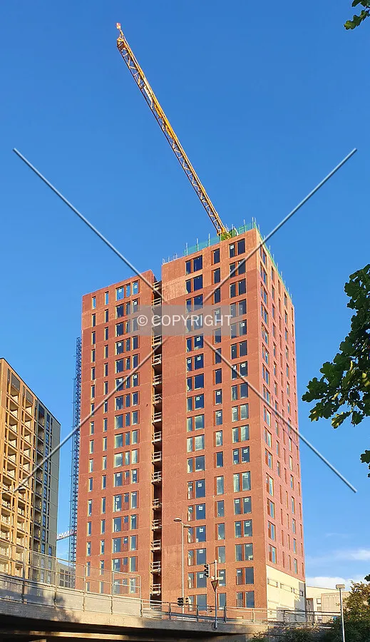 Photo 463-624-425