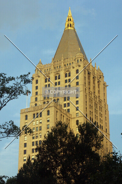Photo 463-731-832