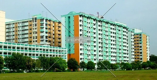 View from Block 349