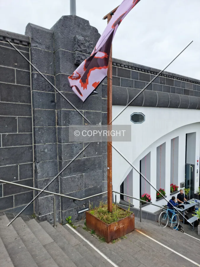 Flag in a plant pod