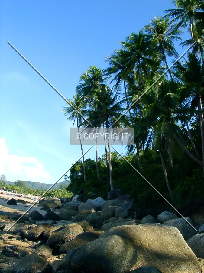Photo 464-640-493