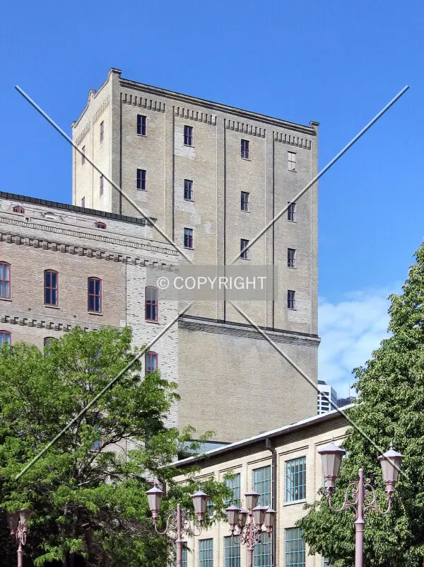 Looking up from West River Parkway