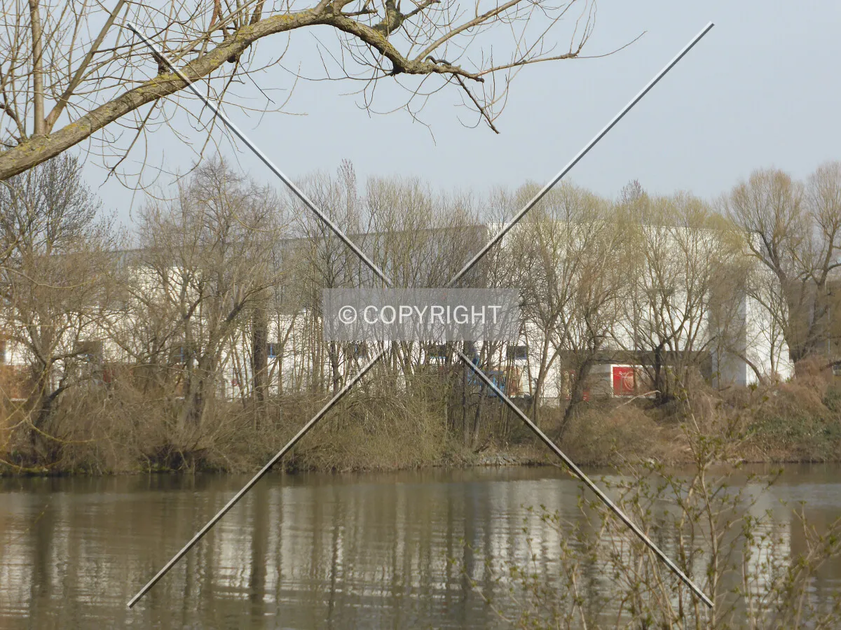 Photo 465-364-674