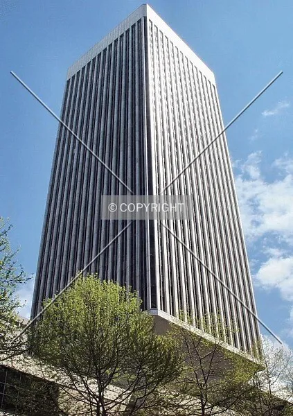 Photo 465-581-481