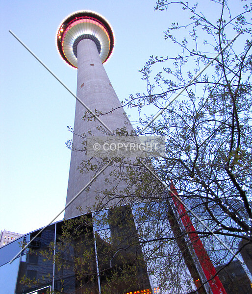 Photo 465-663-970