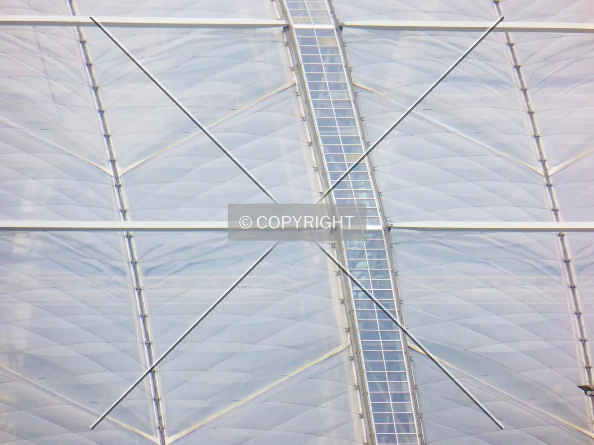 Photo 465-709-693