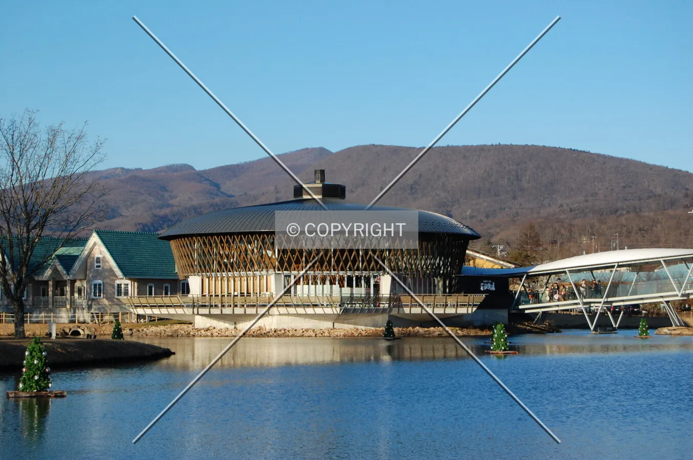 Photo 465-736-541
