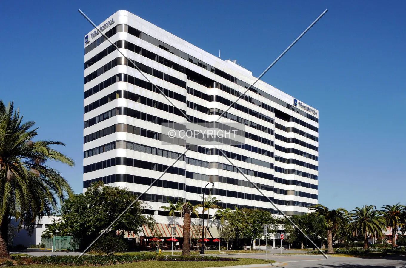 View from the southeast