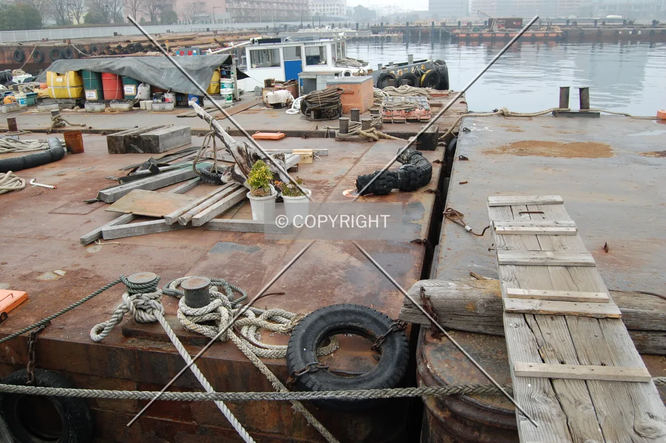 Photo 466-368-493