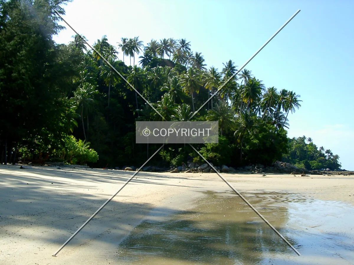Photo 466-647-273