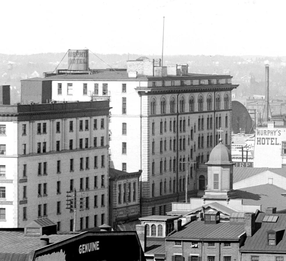 View from the south