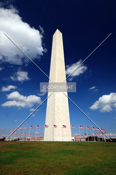 Photo 466-923-617