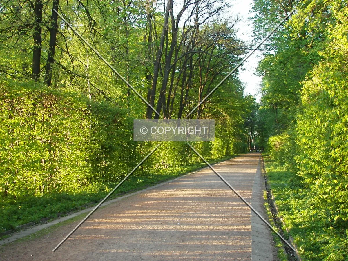 Evening at the Stryis'kyi Park