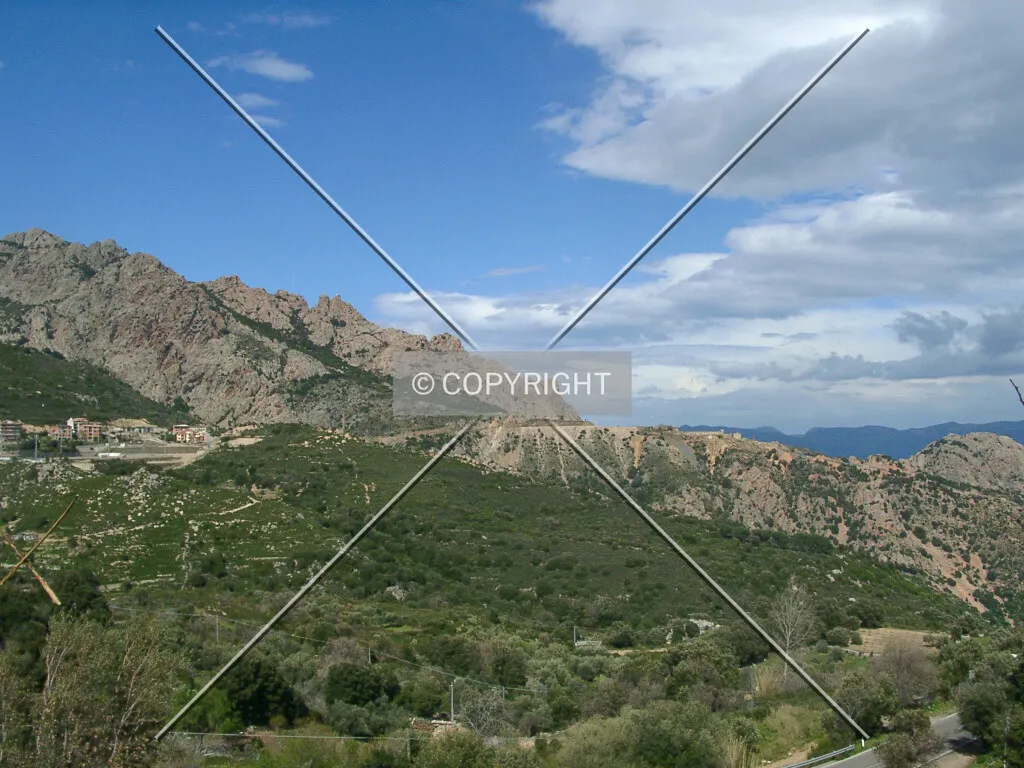 Photo 467-382-428