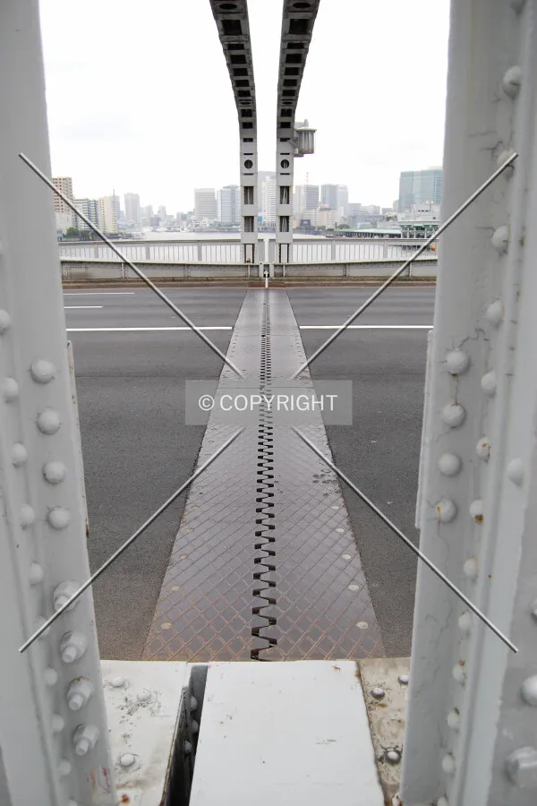 Central expansion joint