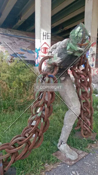 Photo 467-666-134