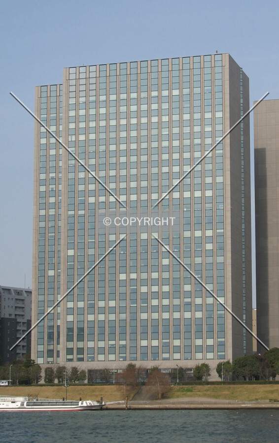 View from the east
