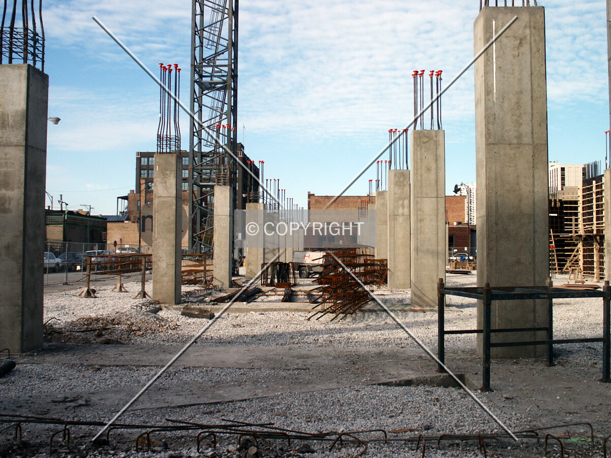 Looking north between rows of columns