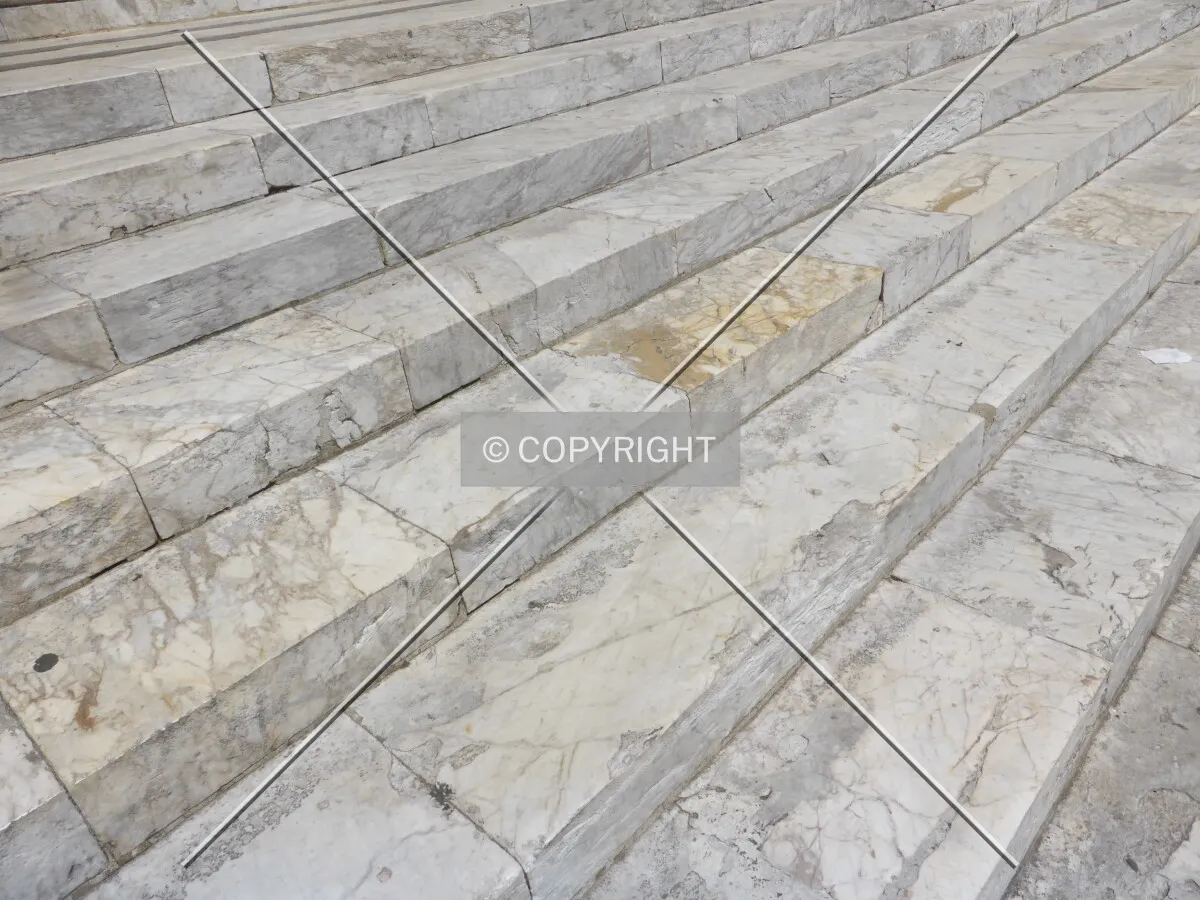 Photo 467-709-464