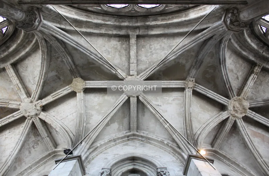 Photo 467-879-968