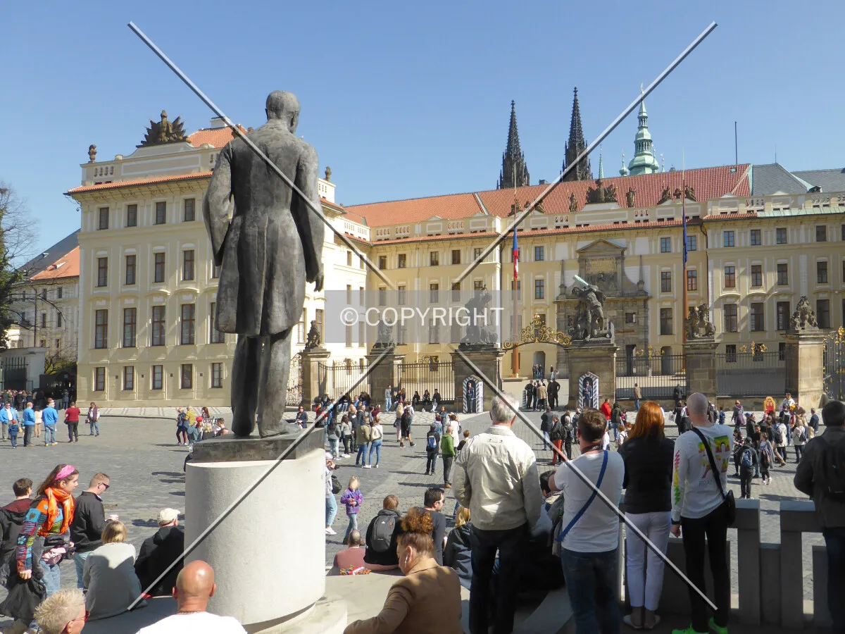Photo 468-079-659