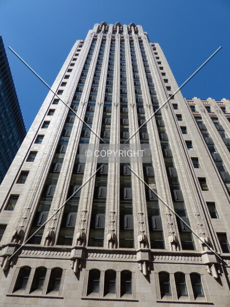 Photo 468-267-461
