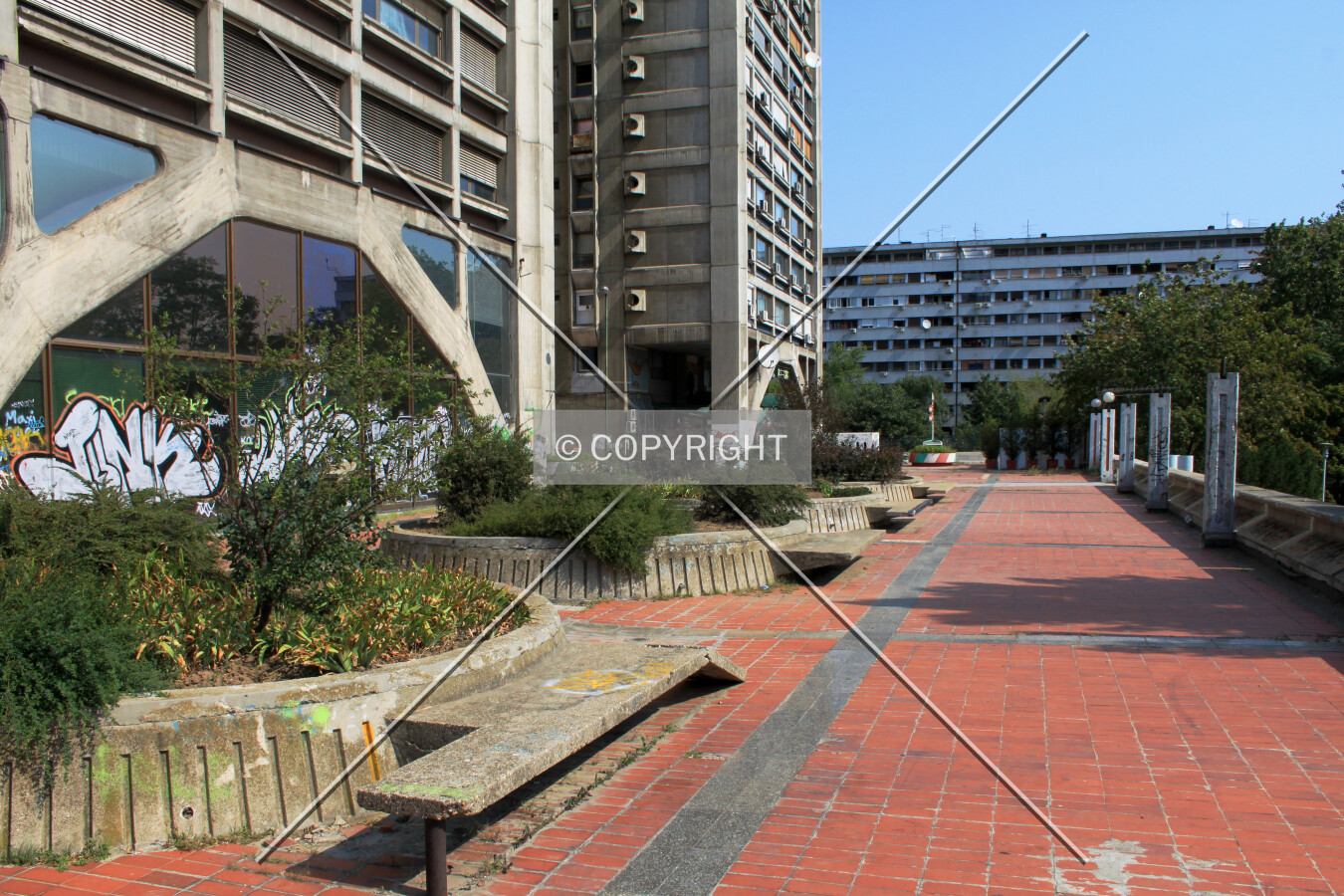 Photo 468-289-351