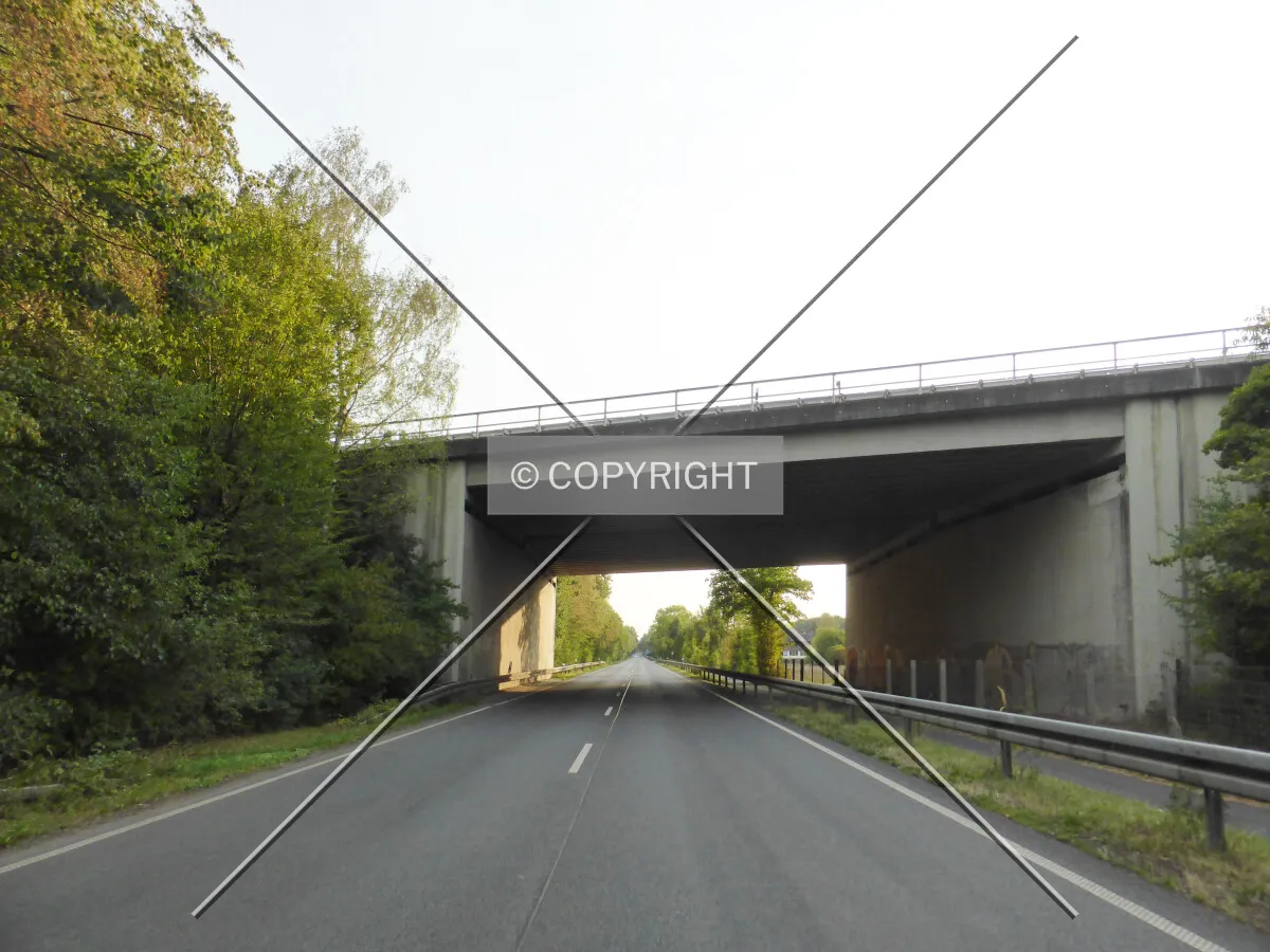 Photo 468-318-861