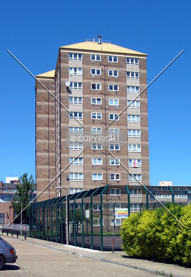 View from the rear of buildings on Morpeth Street