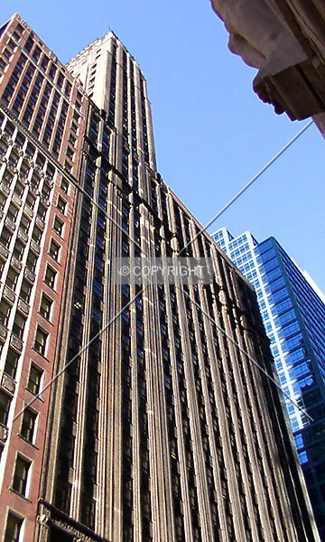 Photo 469-016-353