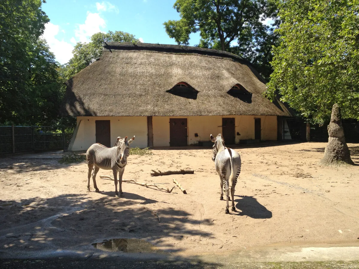 Photo 469-038-863