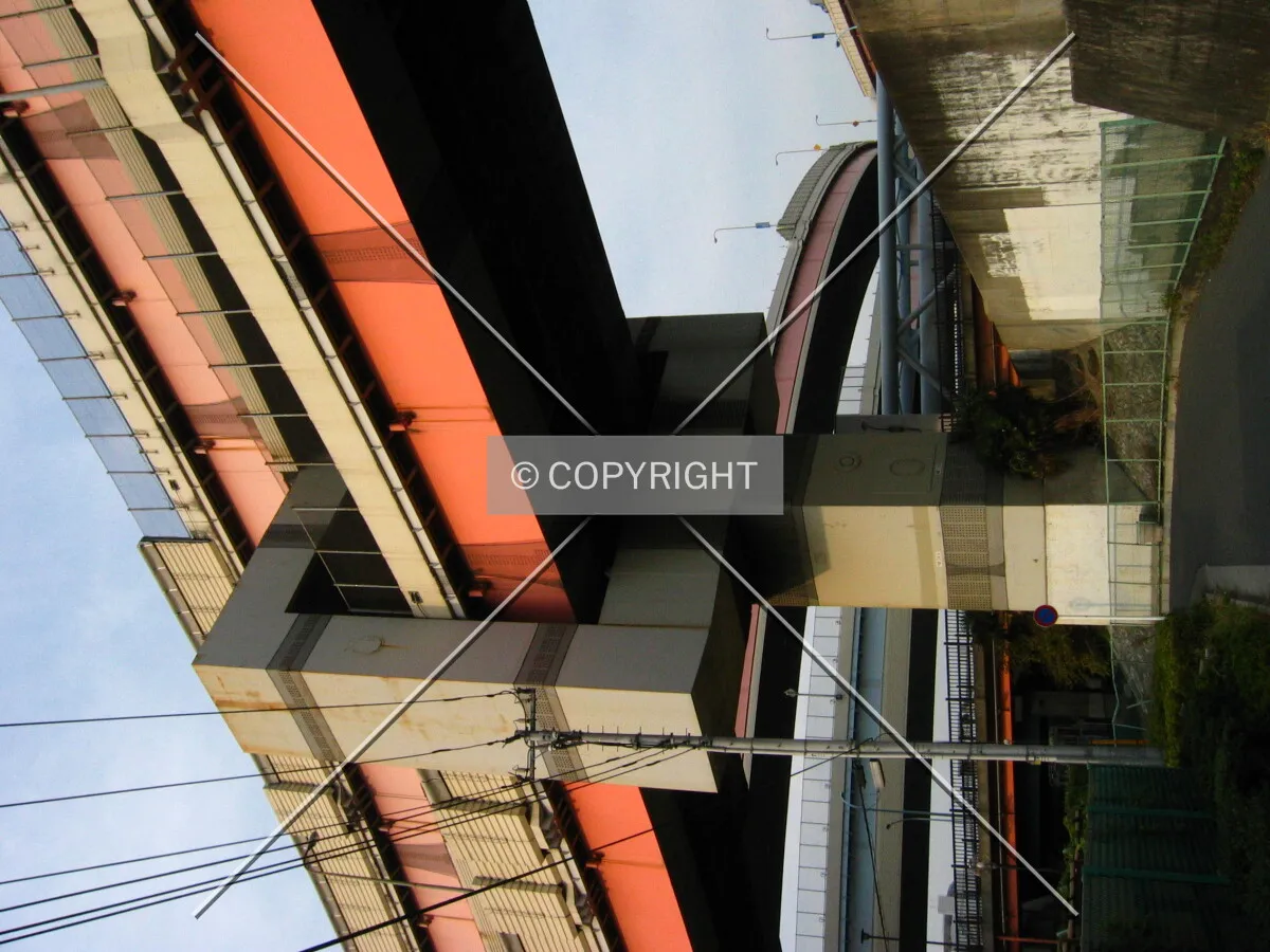 Photo 469-146-580