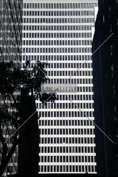 Photo 469-208-971
