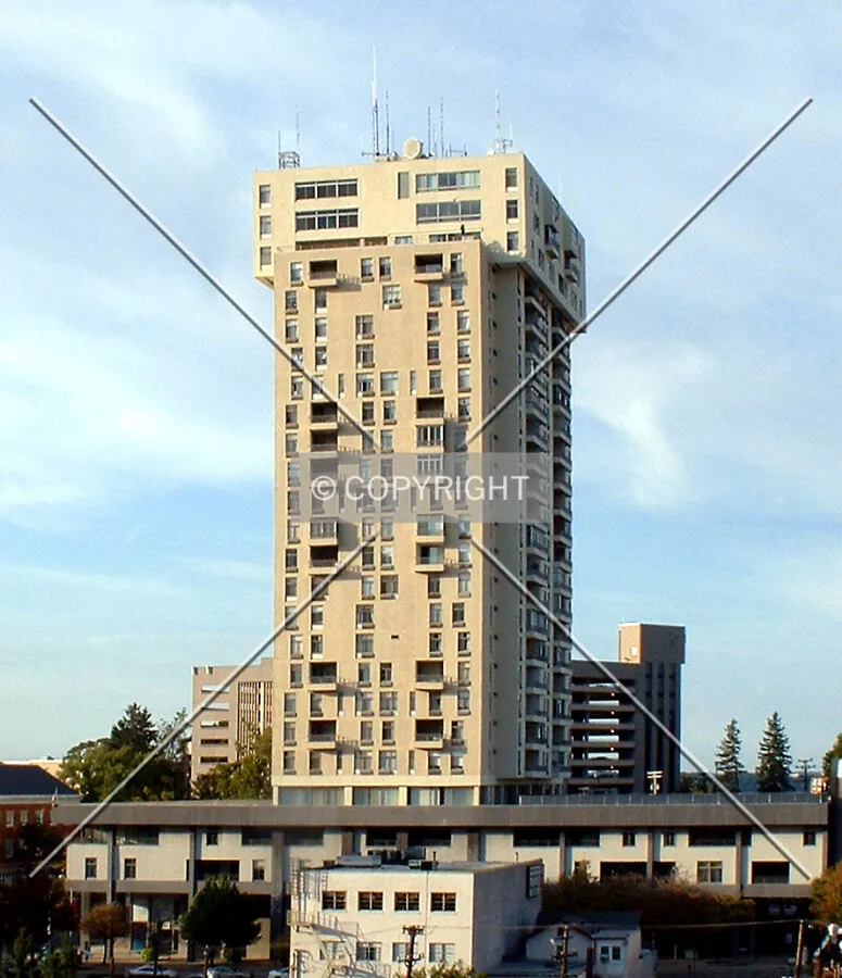View from the south