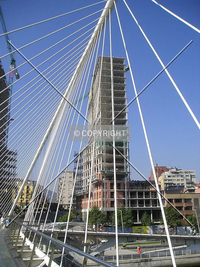 View with the Calatrava bridge in between