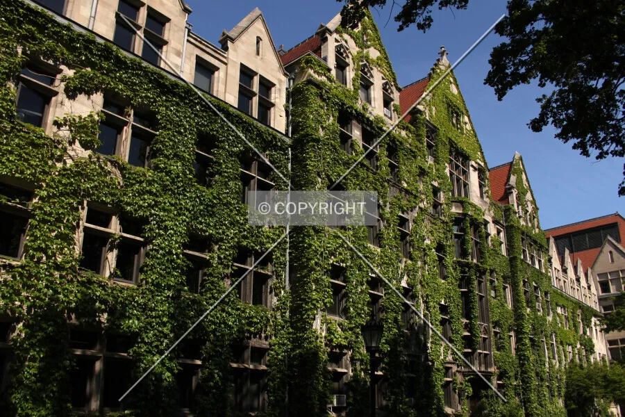 Photo 469-635-855