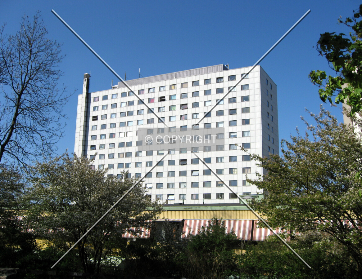 View from the east
