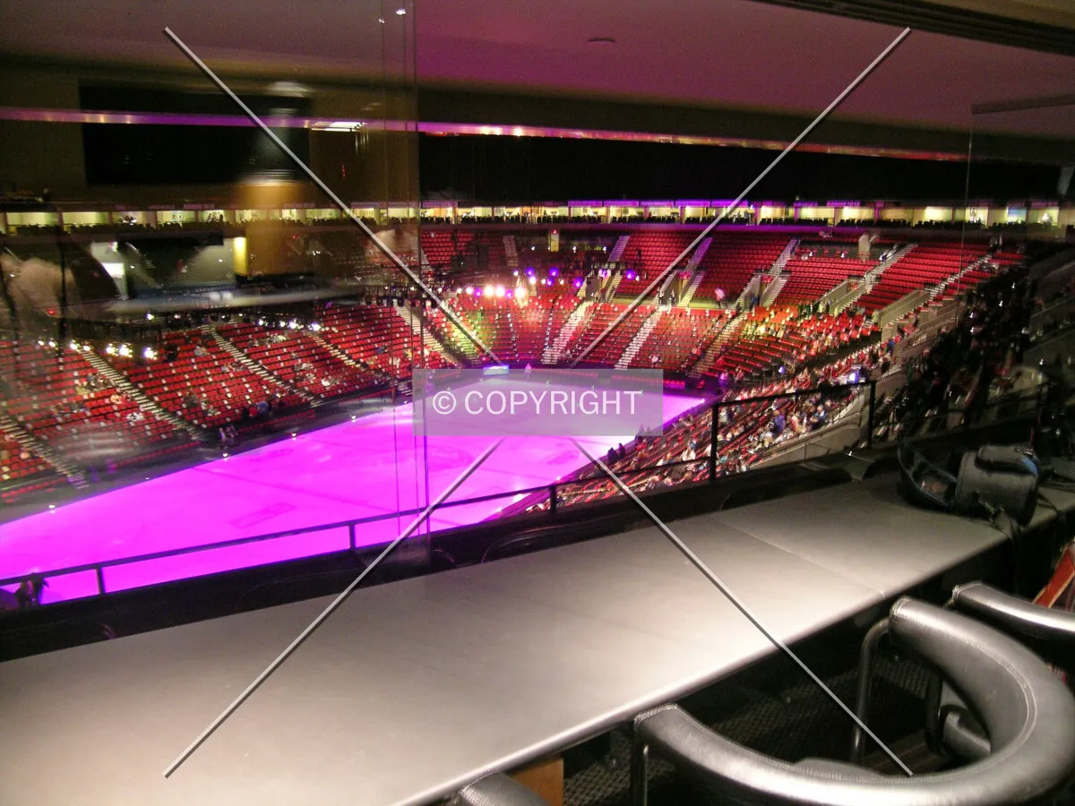 The ice arena - VIP suite
