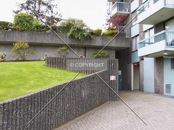 Side driveway and yard