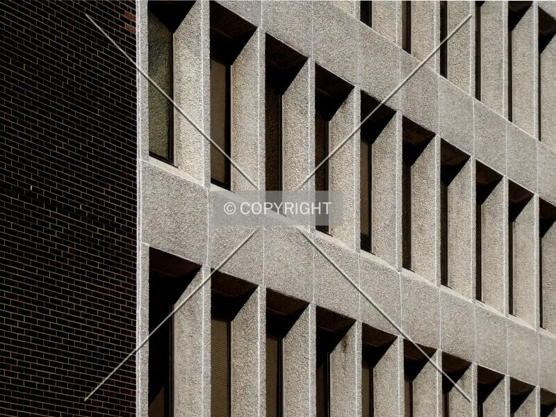 Photo 470-967-491